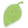 Mini Value Shape/ Herb Mini Leaf (2.25"x1.5")